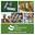Website icon for cancentral.com