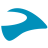 Website icon for cardosystems.com