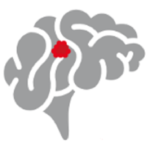 Website icon for cavernoma.org.uk