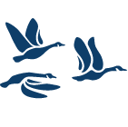 Website icon for ccednet-rcdec.ca