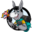 Website icon for chasingthedonkey.com