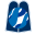 Website icon for chayimaruchim.com