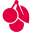 Website icon for cherry.de