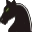 Website icon for chesspower.co.nz