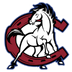 Website icon for chscolts.org