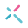 Website icon for chunkx.net