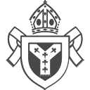 Website icon for churchmusicdublin.org