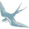Website icon for cibolo.org