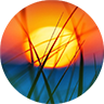 Website icon for citrusmilo.com