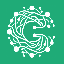 Website icon for cleverai.app