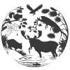 Website icon for cnsweb.org