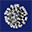 Website icon for covid19hg.org