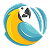 Website icon for csrtravels.com