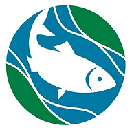 Website icon for ctriver.org