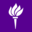 Website icon for cultureandcommunication.org