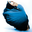 Website icon for dance-enthusiast.com
