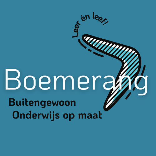 Website icon for deboemerang-bree.be