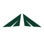 Website icon for deeparrival.com
