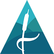 Website icon for delta.ca