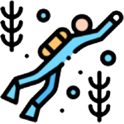 Website icon for diveaeris.com