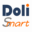 Website icon for dolismart.com