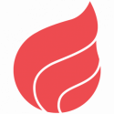 Website icon for dragonsearchmarketing.com