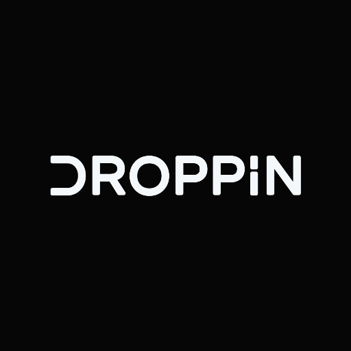 Website icon for droppinchauffeurs.com