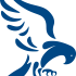 Website icon for eaglenews.org