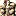 Website icon for earlymusichicago.org