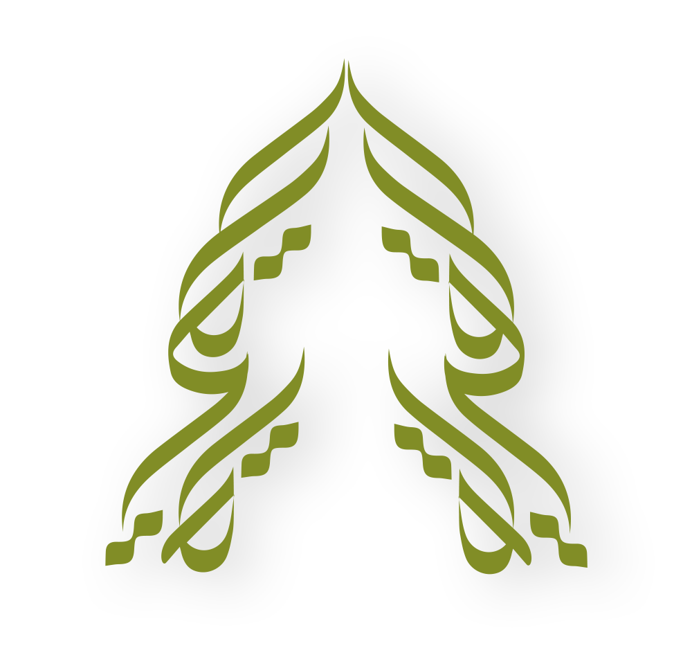 Website icon for electronicvillage.org
