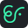 Website icon for elephantfly.ie
