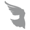 Website icon for elizabethsmartfoundation.org