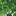 Website icon for erikrunyon.com