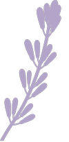 Website icon for erincrozierphd.com