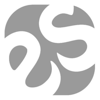 Website icon for ettoresoftware.com