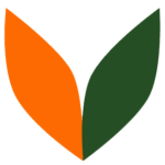 Website icon for expresswriters.com