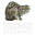Website icon for fishingcat.org