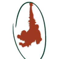 Website icon for forests4orangutans.org