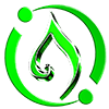Website icon for foundation1.org