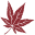 Website icon for fowa.org.uk