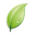 Website icon for freshfruitportal.com