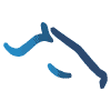 Website icon for ftboa.com