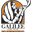 Website icon for galileeofthenations.com