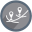 Website icon for geocode.xyz