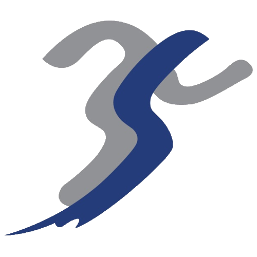Website icon for ginfoundry.com