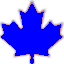 Website icon for goc411.ca