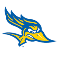 Website icon for gorunners.com
