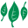 Website icon for greencentury.com