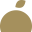 Website icon for hadarshemesh.com