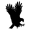 Website icon for harvardnsj.org